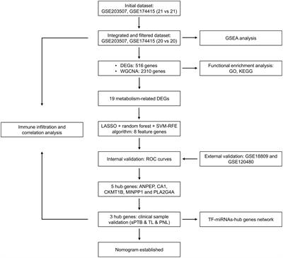 Identification of key metabolism-related genes and pathways in spontaneous preterm birth: combining bioinformatic analysis and machine learning